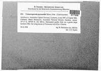 Image Associated With the Occurence